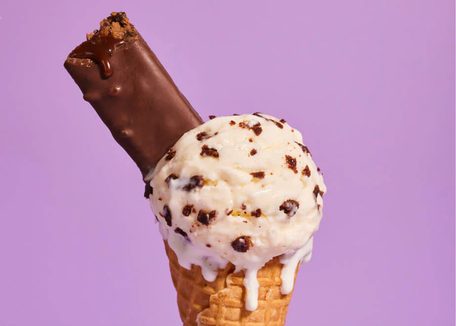 Feel Plant-Based Protein Bars