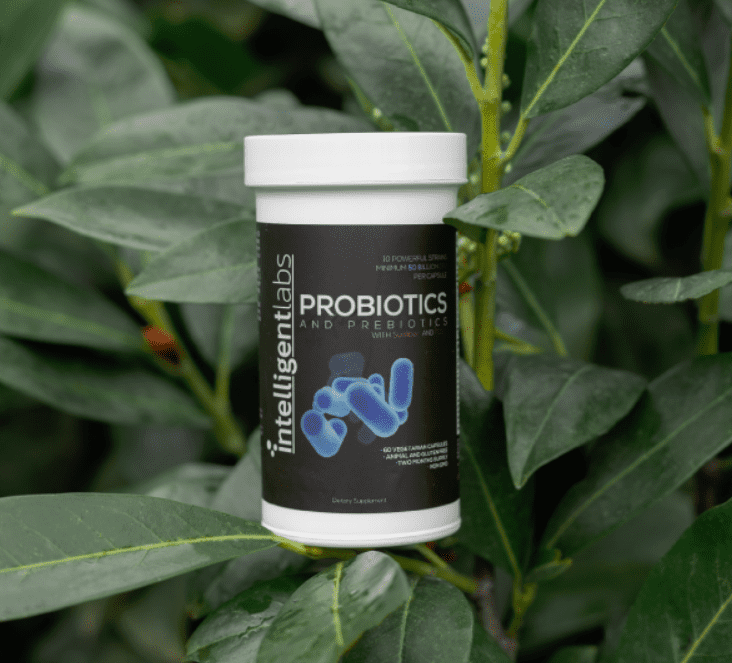 intelligent labs probiotics