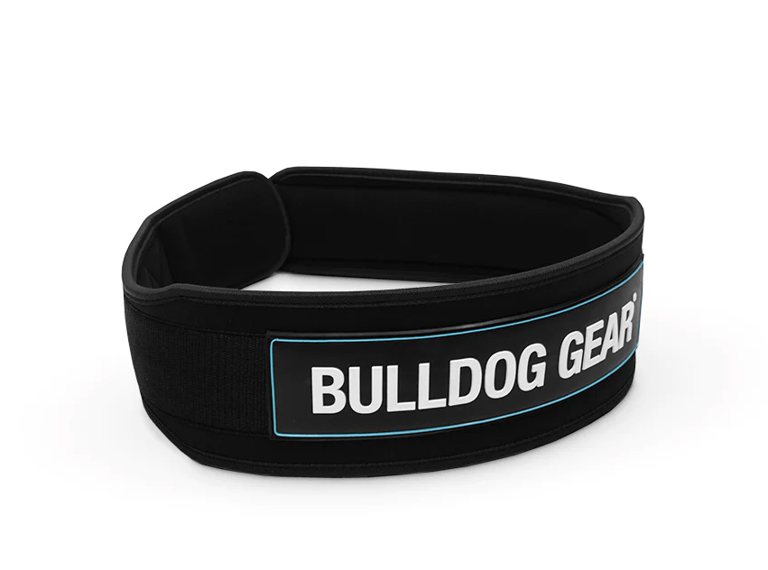 bulldog gear weight lifting belt