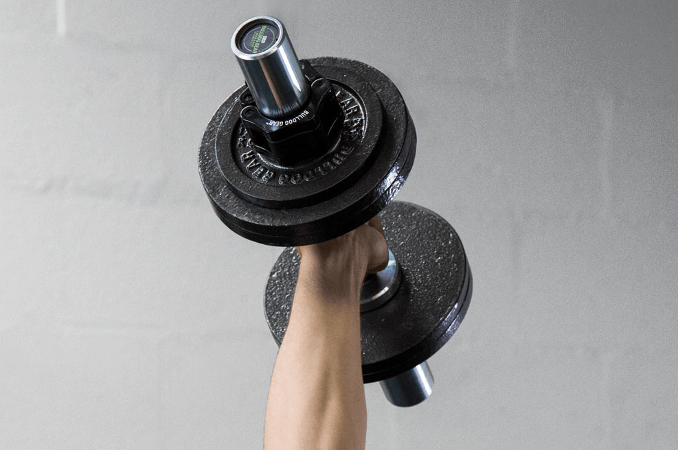 bulldog gear fractional plates