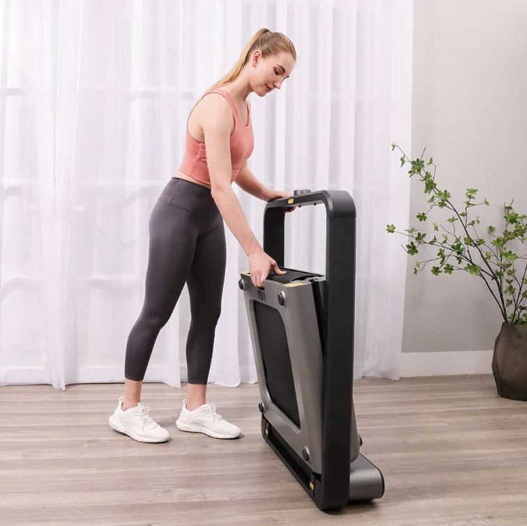 walkingpad x21 treadmill