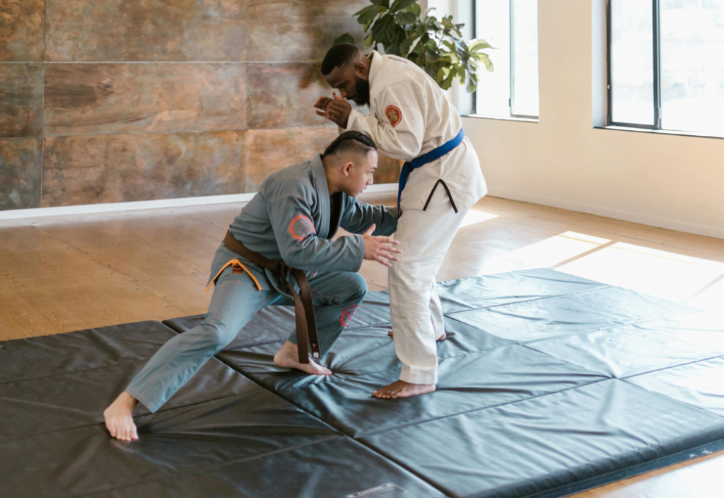 Lingzhi Mushroom Powder