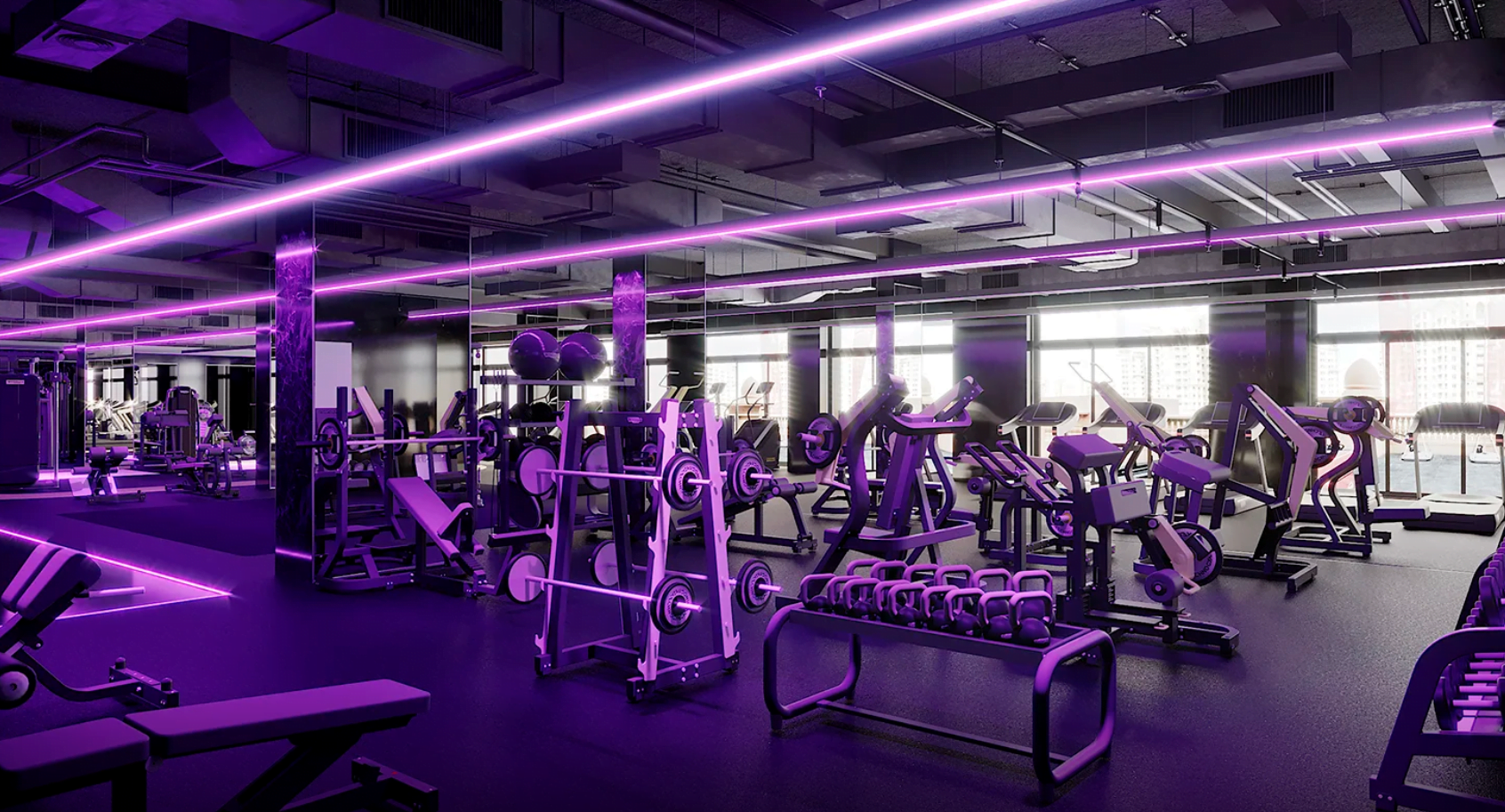 20% Off Sealions Discount Code