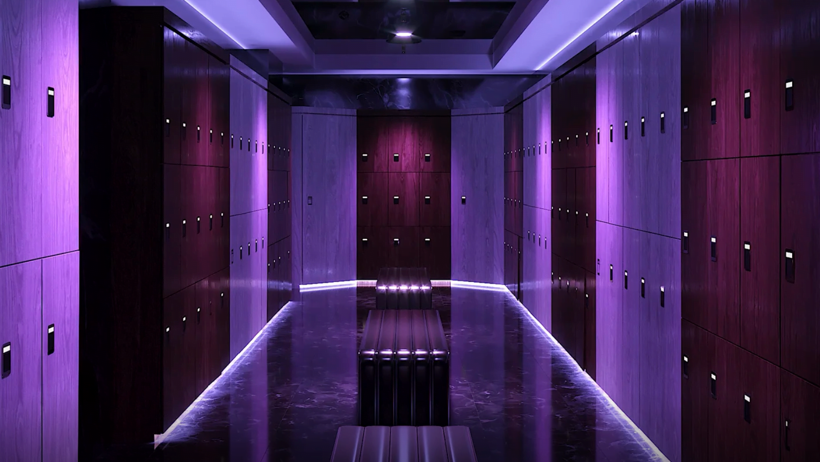 Save 20% Off Sealions Whey Protein