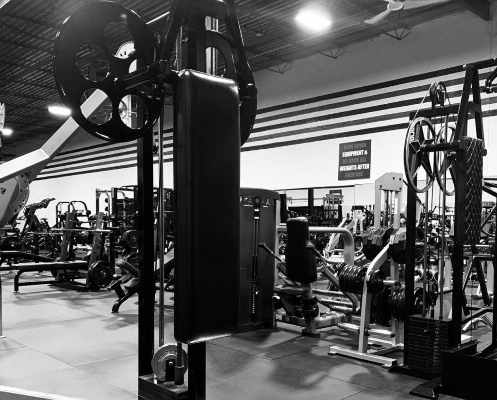 Myo Master MyoIce Pro Now