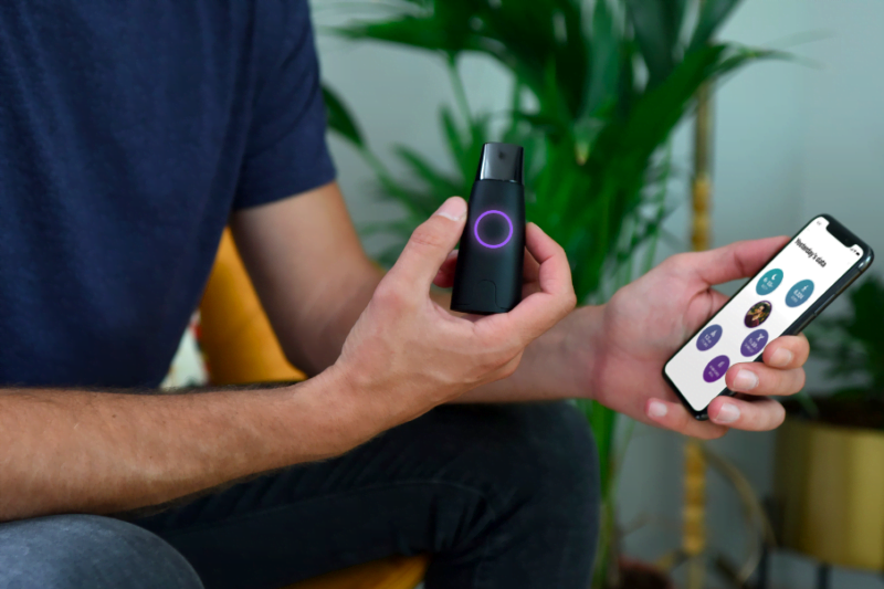 lumen and your metabolic journey