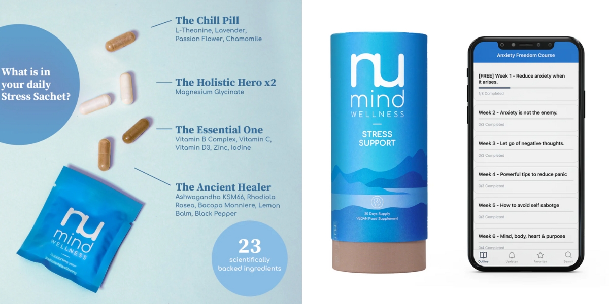 body-mind system review