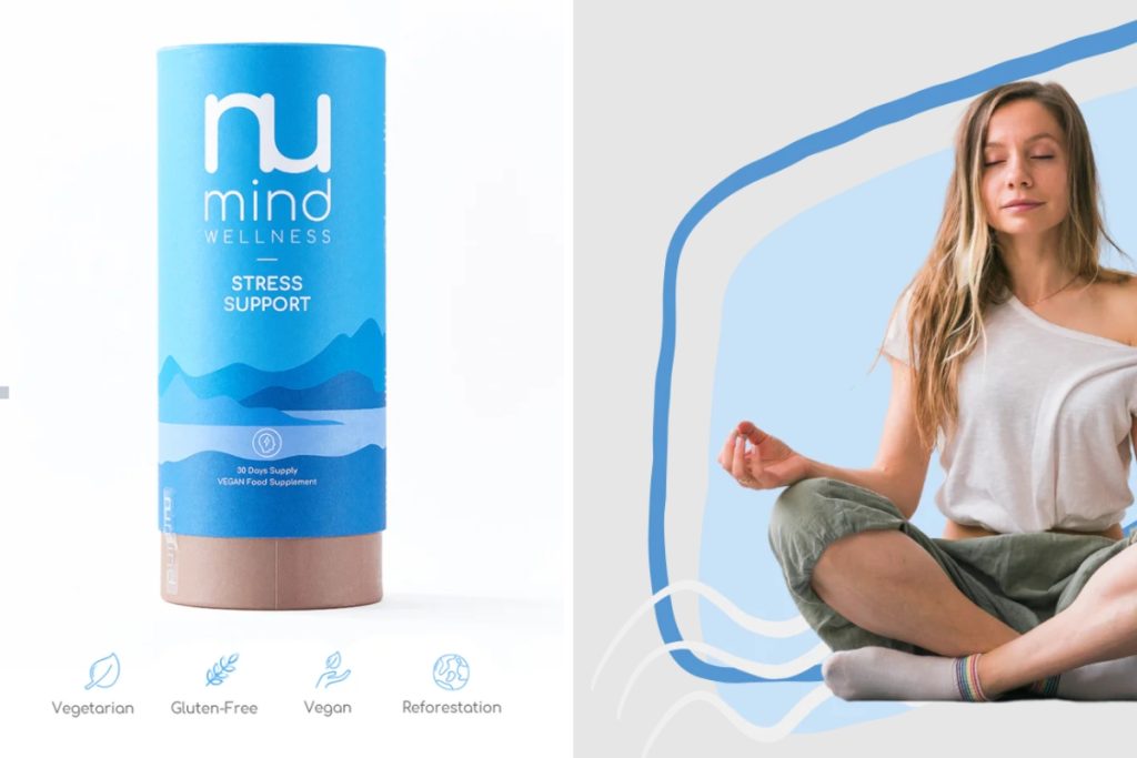 body-mind system review
