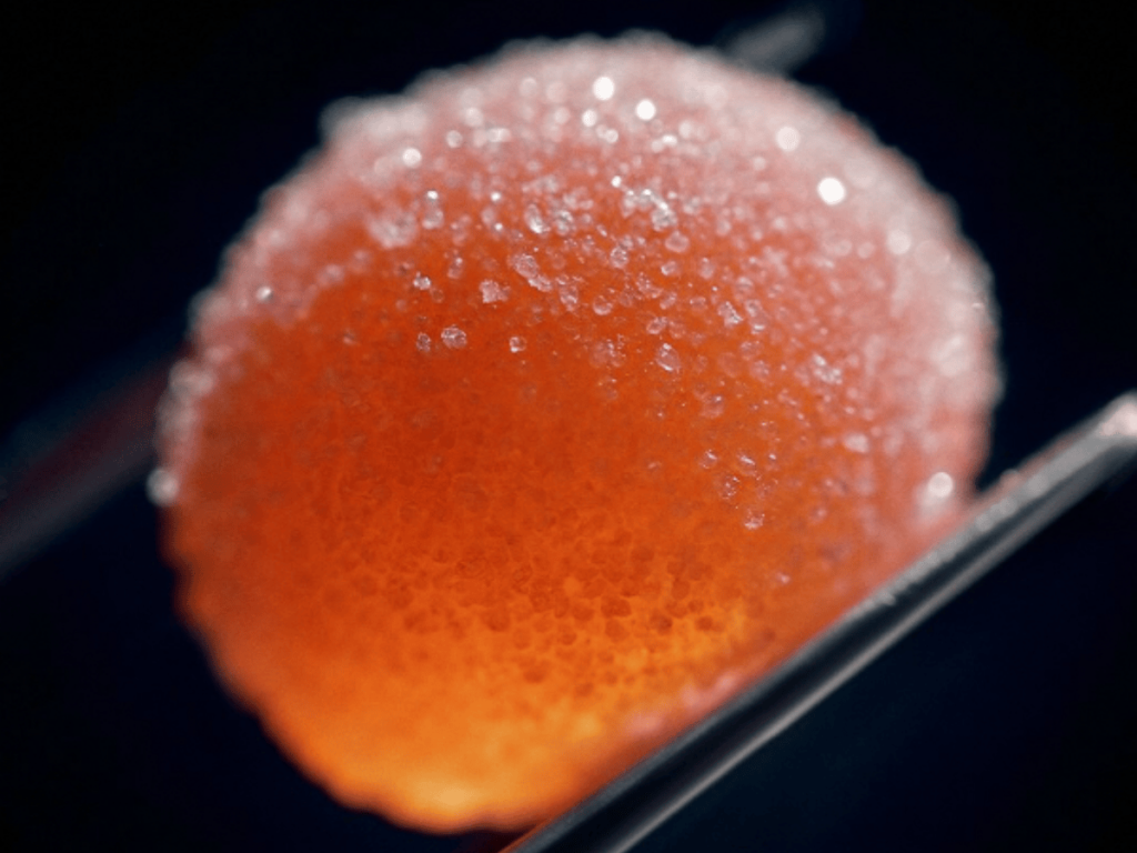 ESN's New Ultrapure Creatine Gummies