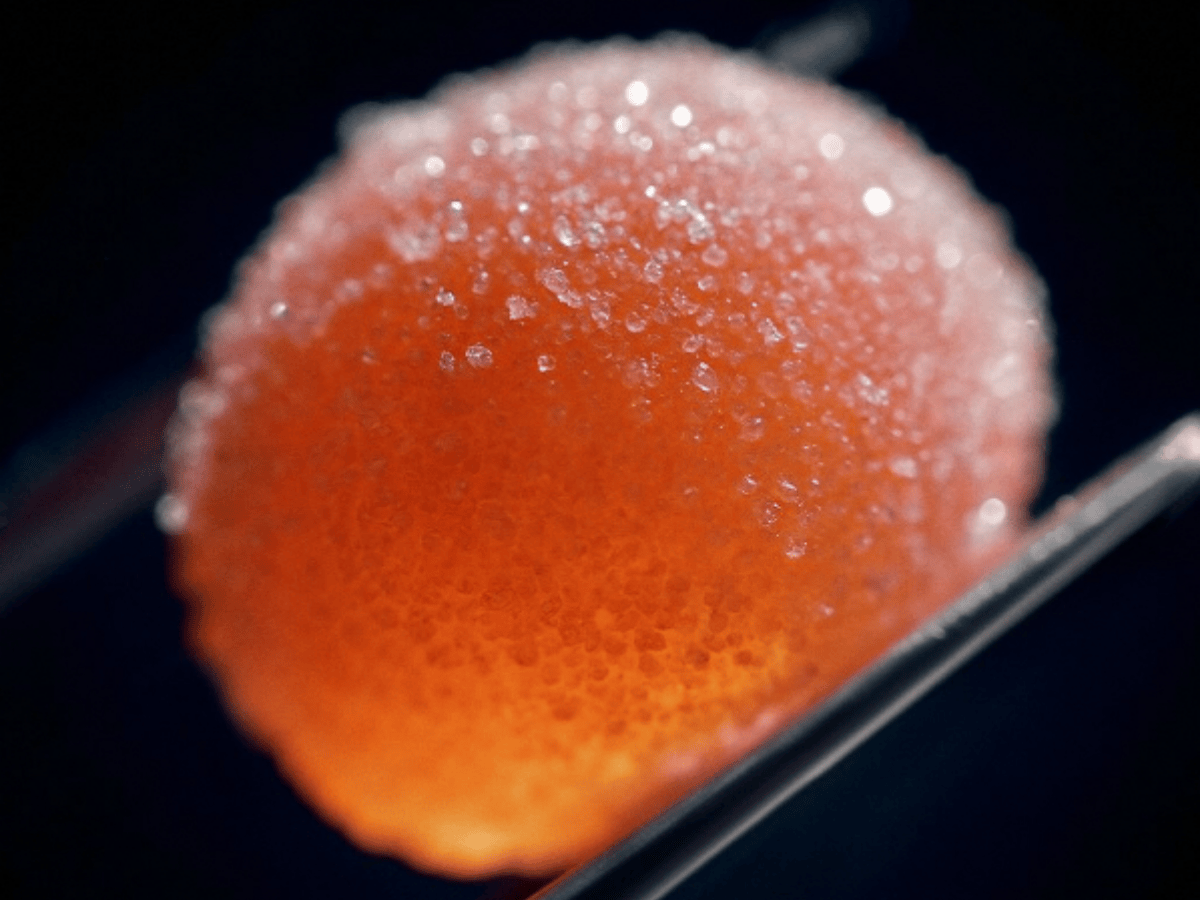 ESN's New Ultrapure Creatine Gummies